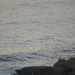 Olymp Luxury House - Ultra Luxury Beachfront With Rooftop Lounge Villa *