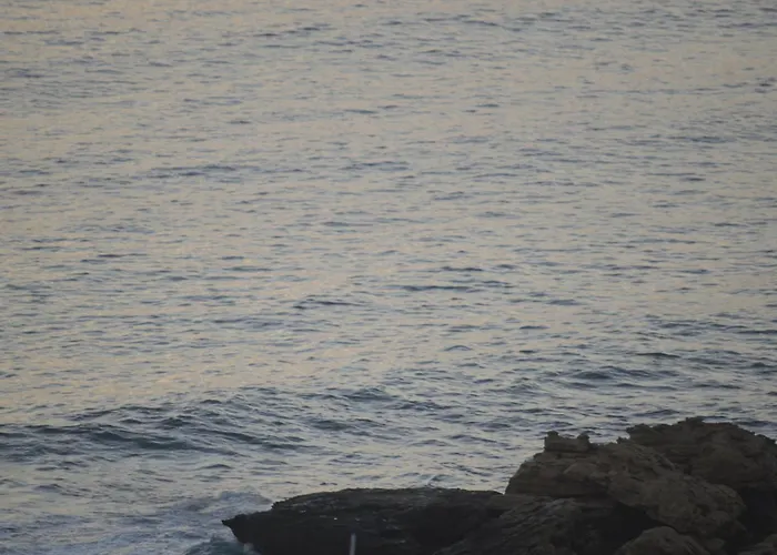 Olymp Luxury House Vila *