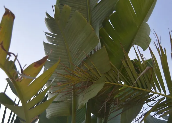 Olymp Luxury House Paphos